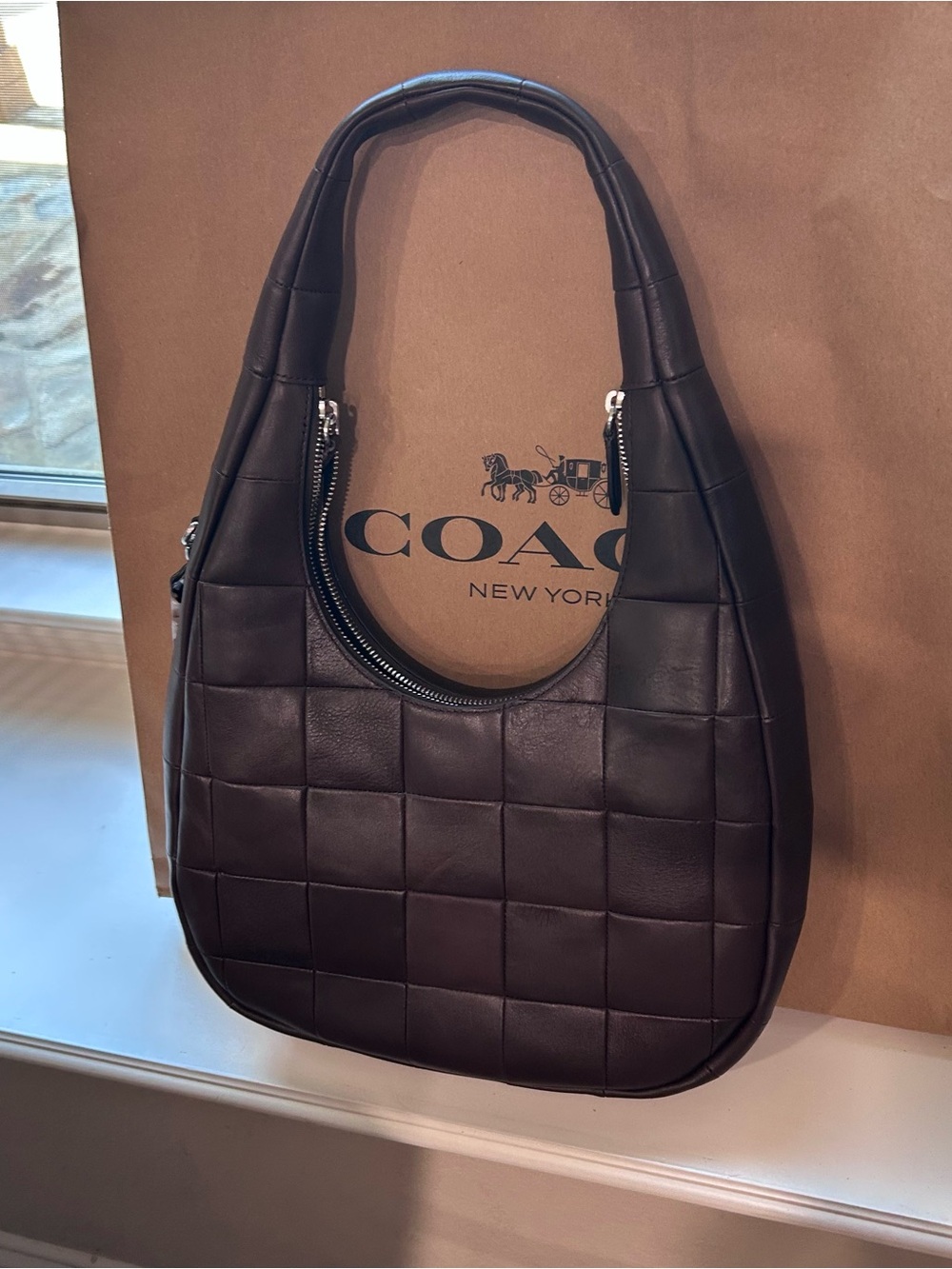 Coach Brown Alter Ego Crescent Bag with Tortoiseshell-Patterned Acrylic Charm